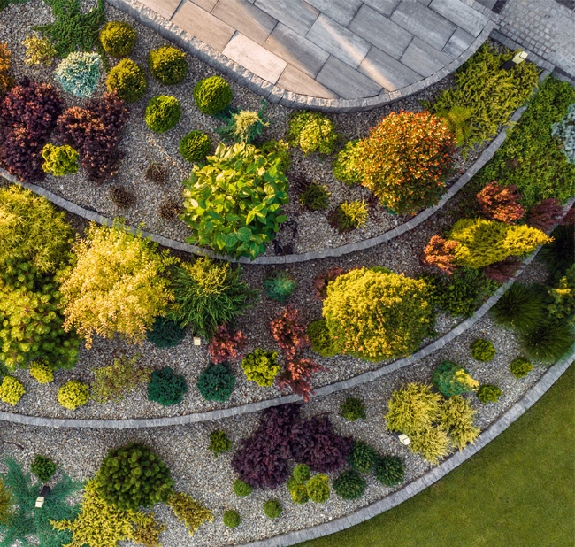 Modern gestalteter Garten mit gepflegten Sträuchern, Zierbäumen und harmonischer Bepflanzung – professionelle Gartengestaltung von Rasen Rebell